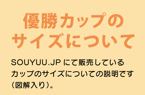 サイズについて