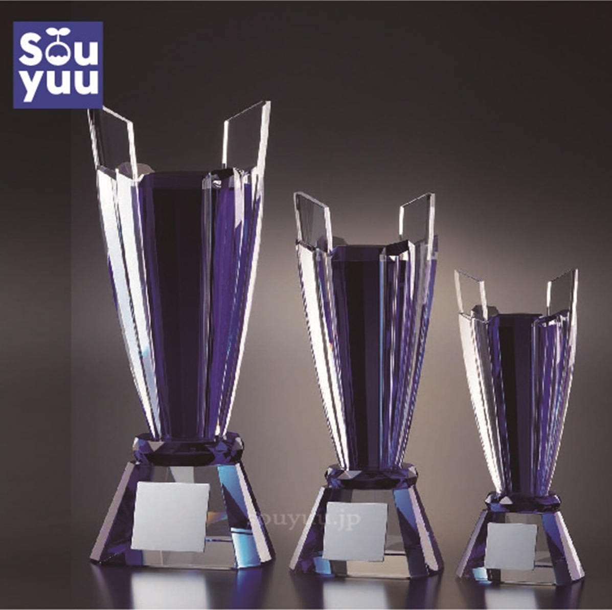 クリスタルトロフィー光学ガラス優勝トロフィー VTS-3068 シンプルな光学ガラス製のトロフィーです。台座は木製です。プレートのはお好きな文字を彫刻させて頂きます。Aサイズは高さ240mm 17000円、Bサイズは高さ205mm 15000円、Ｃサイズは高さ180mm 12000円、Dサイズは高さ150mm 10000円です。