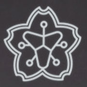 消防署消防団マーク付2Dクリスタル楯Z-306-2|SOUYUU.JP 株式会社創結