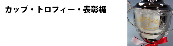 創結で過去に製作した優勝カップやトロフィーや表彰楯の実例集です